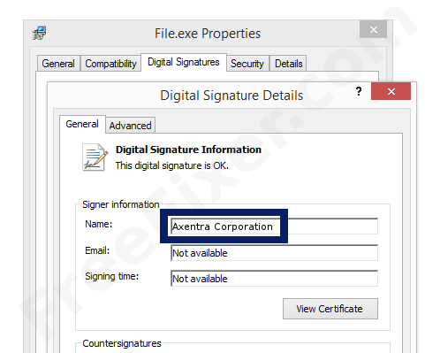 Screenshot of the Axentra Corporation certificate